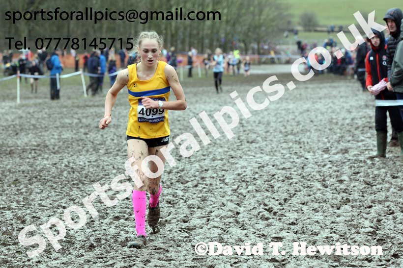 Girls under-15s 2018 British Inter Counties Cross Country Champs., Prestwold Hall, Loughborough. Photo: David T. Hewitson/Sports for All Pics